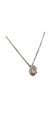 14k White Gold Lab Grown Diamond Necklace with Halo